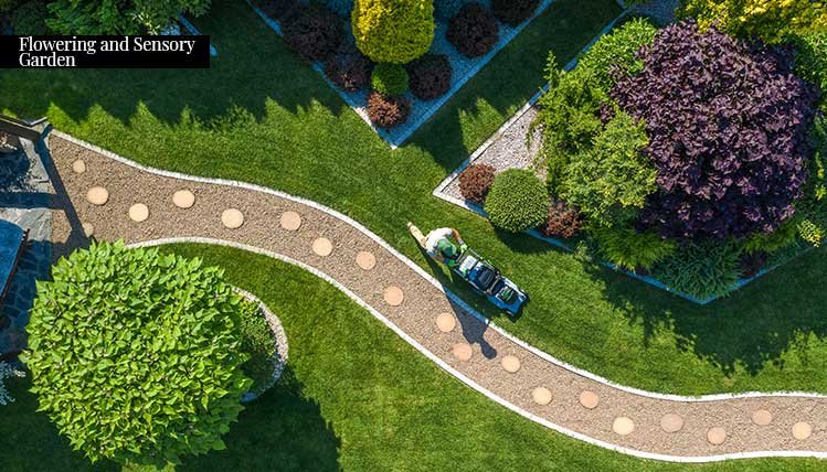 flowering-and-sensory-garden
